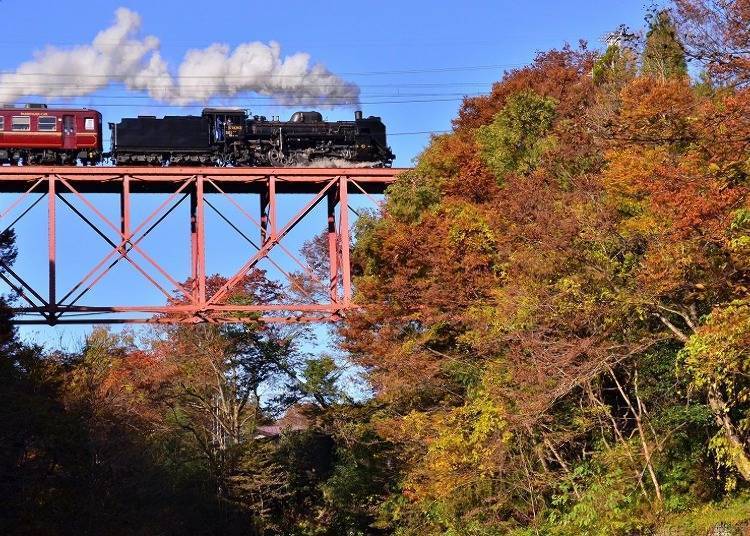 Autumn in Chichibu: Ride the SL Paleo Express Among Beautiful Autumn Leaves