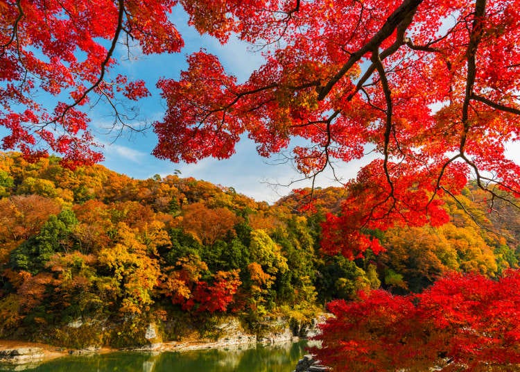 自然、溪谷、风景、神社、美食一应俱全！秩父长瀞满载而归玩好玩满一日游