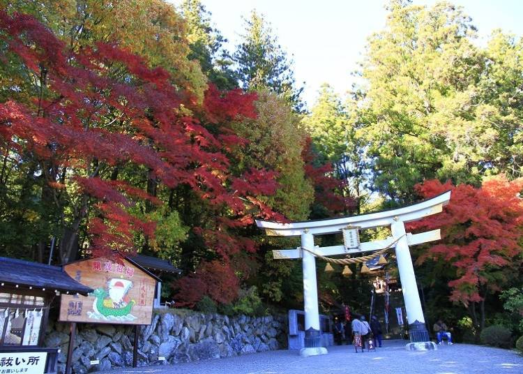 ▲Beautiful red leaves in autumn! / Photo courtesy of the Nagatoromachi Tourist Association
