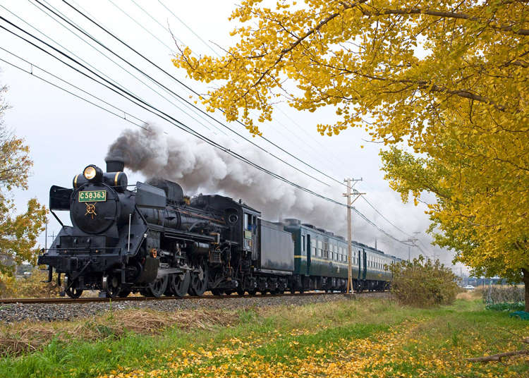 The SL Paleo Express: From Tickets to Souvenirs - All You Need To Know About Japan's Cool Steam Locomotive!