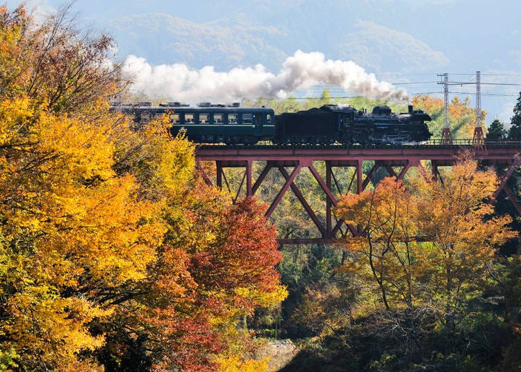 (Photo courtesy of Chichibu Railway)
