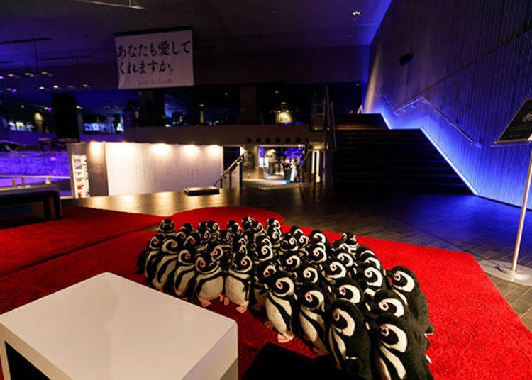 Penguin stuffed animals near the pool