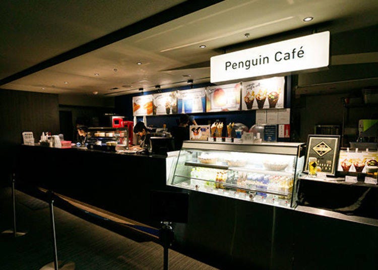 Alcohol is served, so you watch penguins while enjoying a stylish cocktail