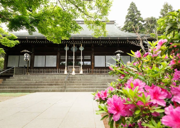 Around the main hall, the azaleas were very beautiful at this time in April.