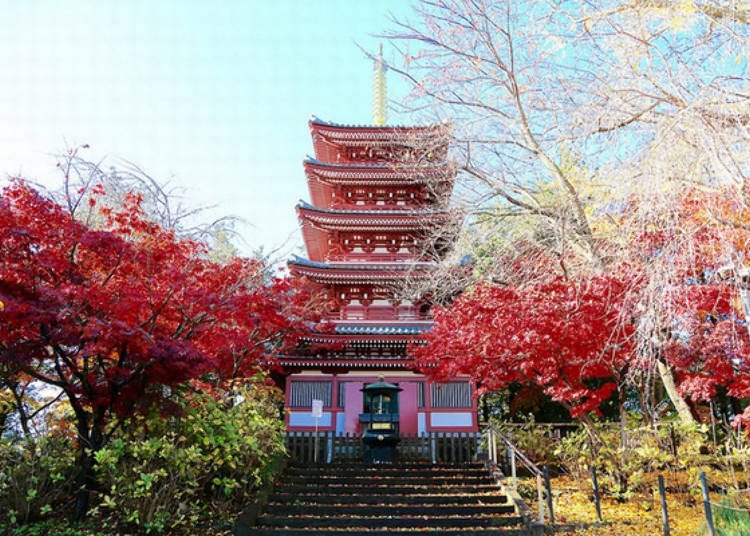 The autumn leaves around the five-storied pagoda are spectacular. The best time to visit is from late November to early December.