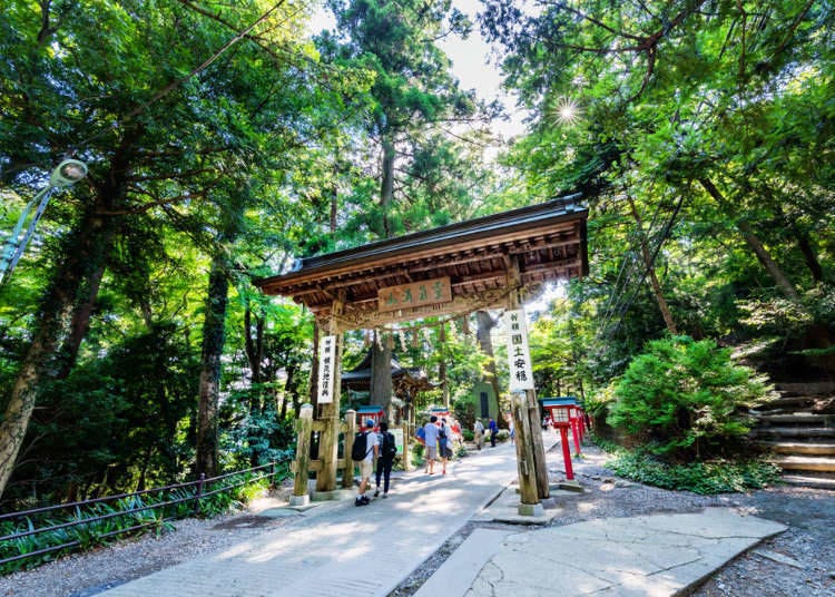 Mount Takao Guide: 12 Best Attractions At The World's Most-Climbed Mountain