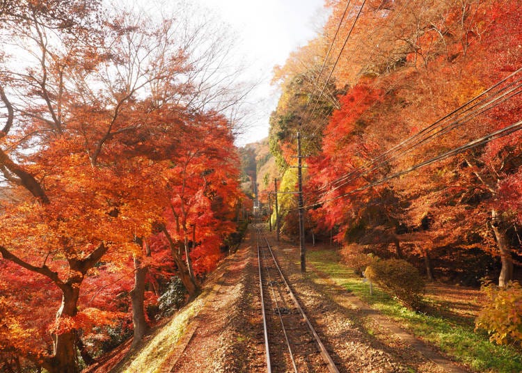 Access Guide: Getting to Mount Takao from Tokyo