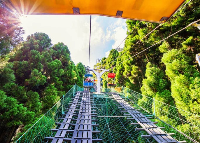 高尾山の観光おすすめスポット10選 A グルメに絶景 宿泊に 楽しい場所が満載 Live Japan 日本の旅行 観光 体験ガイド