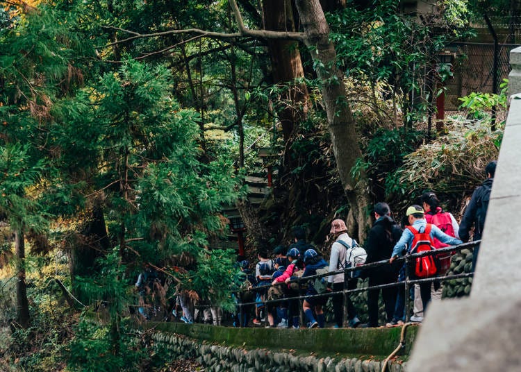 東京高尾山攻略！交通、美食、登山指南、周邊景點、推薦住宿- LIVE 