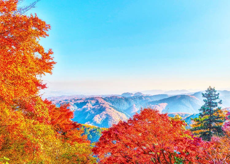 高尾山旅遊魅力②高尾山被評選為米其林綠色指南三星景點！