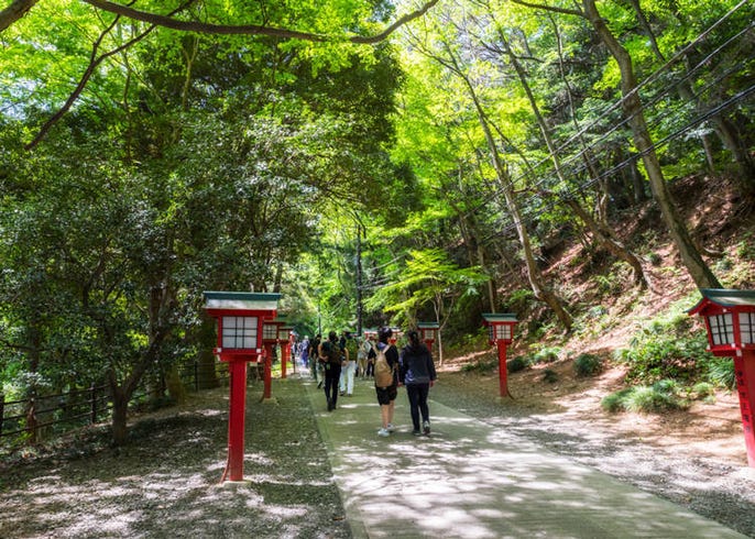 尾山 登山 高
