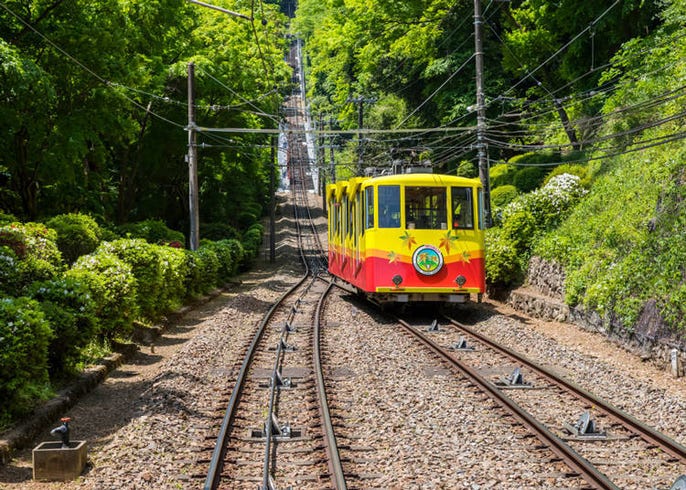 不只有登山 給你15個高尾山旅遊的理由 Live Japan 日本旅遊 文化體驗導覽