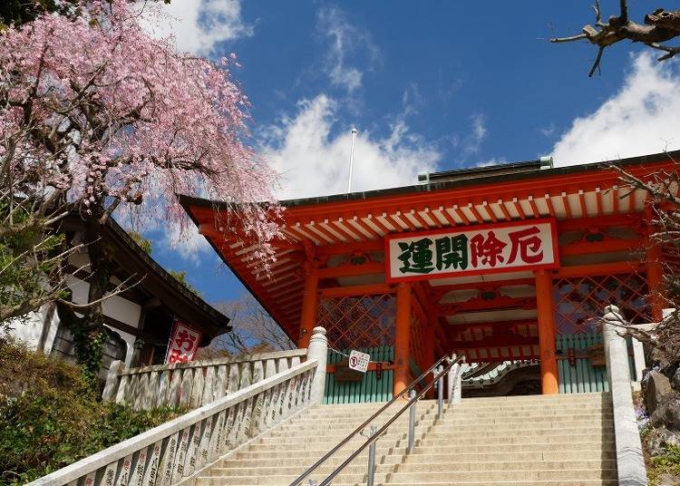 【春】歴史ある寺院に桜が映える「高尾山薬王院」