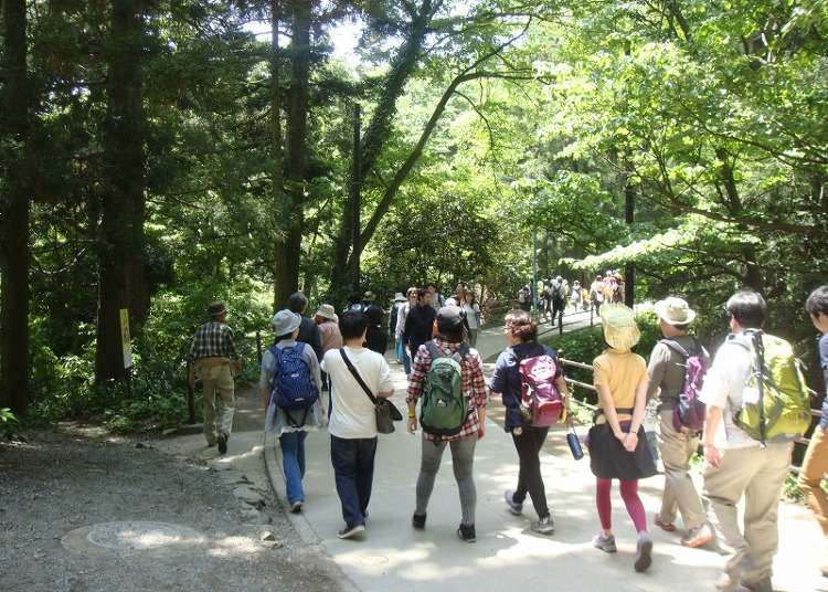 保存版 高尾山の登山おすすめコースを徹底解説 山登り初心者から上級者まで全9コースのポイントを紹介 Live Japan 日本の旅行 観光 体験ガイド