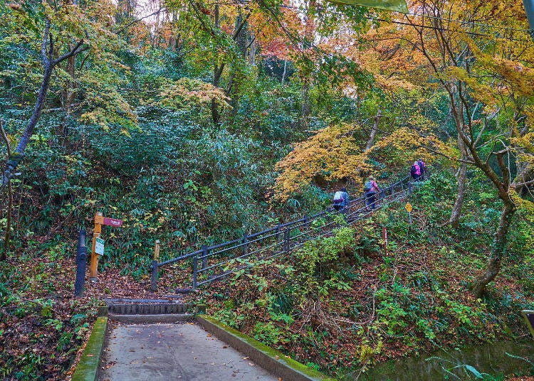 Entrance to the Inariyama Trail on Mount Takao (Photo: PIXTA)