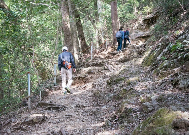 登山道三號路 桂林路線(圖片素材:PIXTA)