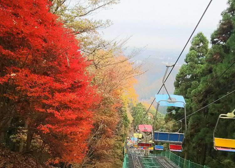 How to Get to Mount Takao: Best Train & Ticket Information (Plus Handy Discount Info)