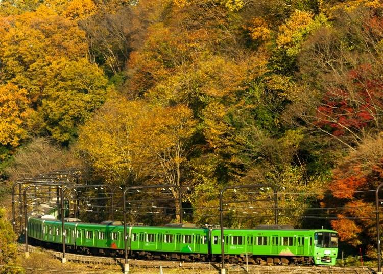 高尾山をイメージしたグリーンの車体が鮮やかな、京王線のラッピング車両