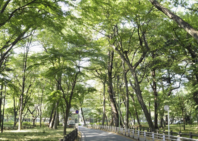 「京王線・井之頭線一日乘車券」的推薦下車景點