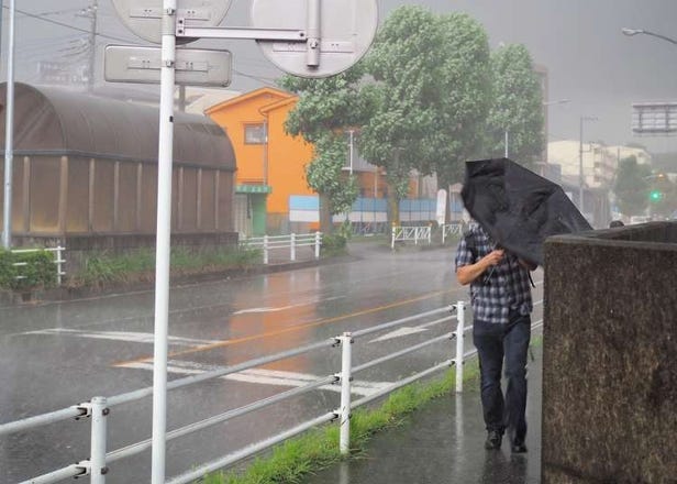 일본 태풍 기초지식. 연간 무려 26차례나..여행 전에 확인하자!