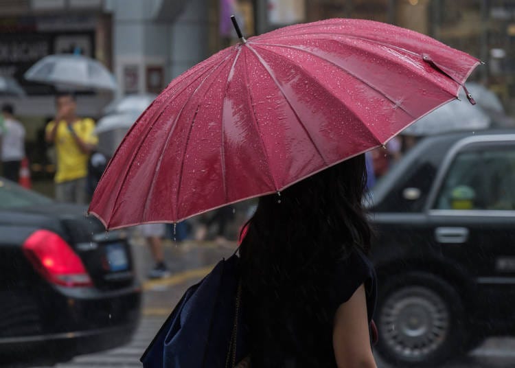 夏から秋の日本の台風の特徴