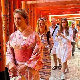 10-Day Classic Private Tour of Japan from Tokyo, 4-star Hotels
Details & Bookings ▶
(Image/Provider: Viator)