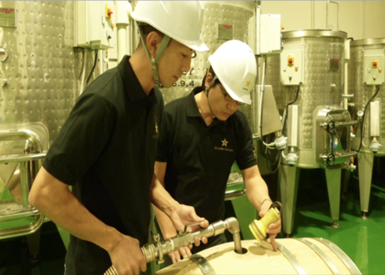 Discover the Grande Polarie wine-making story. (Japanese only)