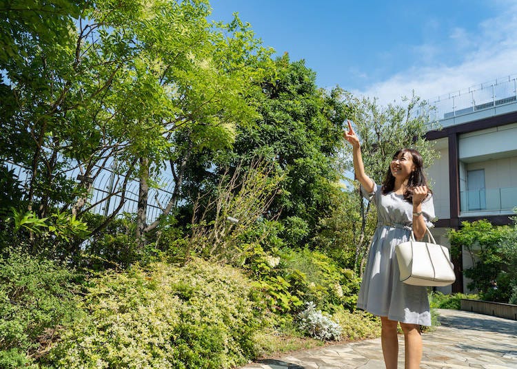The White Garden is one of Takashimaya Times Square’s best-kept secrets! But feel free to share it!