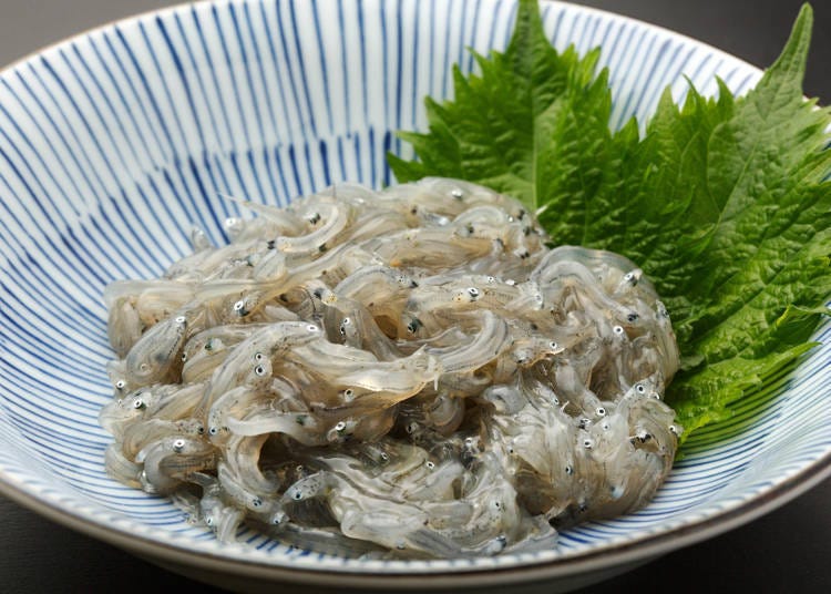 Shirasu: Live Whitebait is too scary to eat...