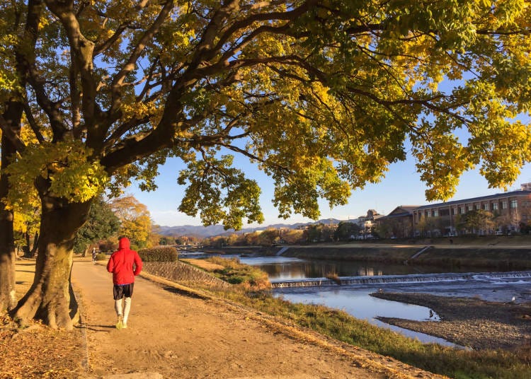 How to Enjoy Kyoto Mornings: A Jog Along the Kamogawa! Sightseeing is best from early morning!