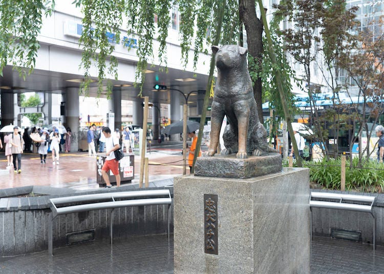 Old Shibuya: A Peek into Nostalgic Places
Shibuya Station’s Hachiko Statue and Retro Train Carriage