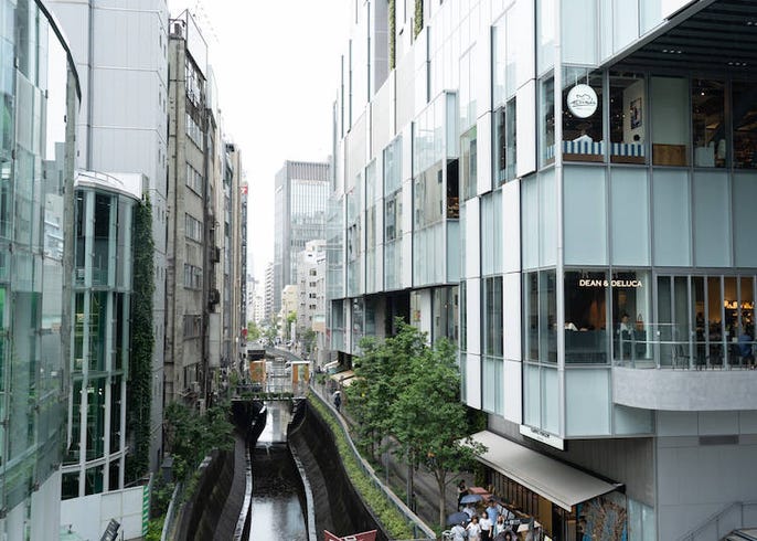 渋谷の魅力新発見 old meets new をテーマに渋谷を散策 live japan 日本の旅行 観光 体験ガイド