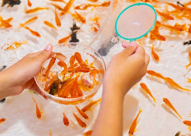 え！お祭りでそれ売っちゃうの!? 外国人が驚いた日本のオモシロお祭り屋台