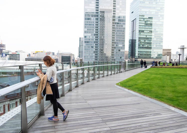 2. Pet Shops and Beer Gardens: The Mysterious World on the Rooftop Floor