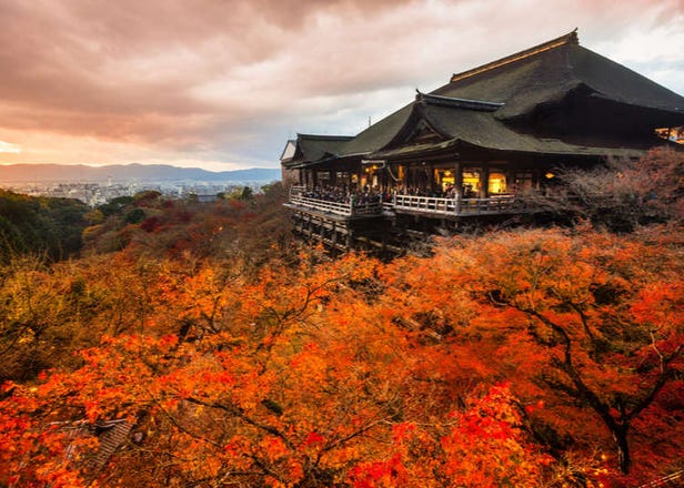 Fall Colors 2022: Top 25 Breathtaking Places For Autumn Leaves In Japan