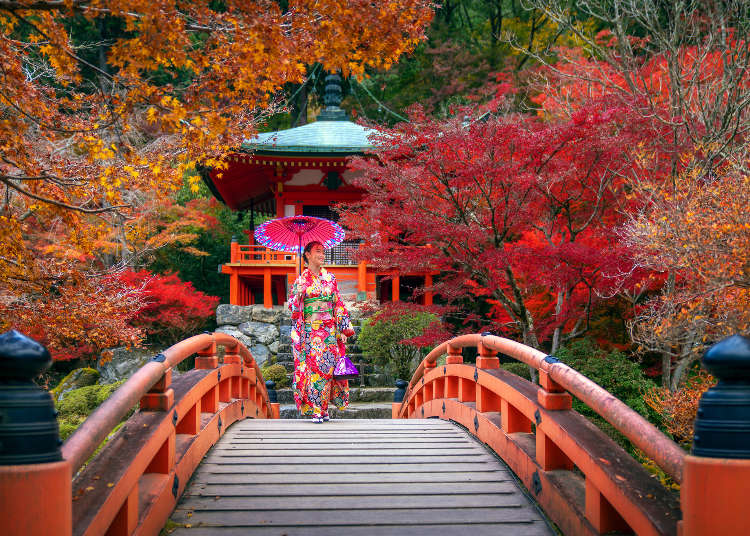 Fall Colors 2021: Top 25 Breathtaking Places For Autumn Leaves In Japan |  LIVE JAPAN travel guide