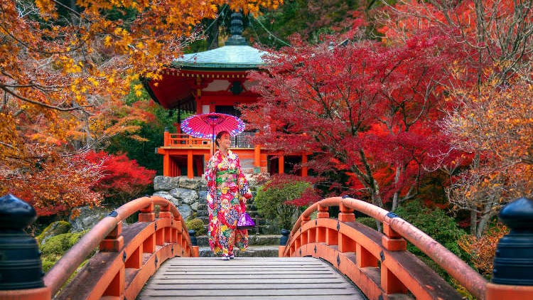 日本25個最佳賞楓景點：京都、東京、箱根、青森等