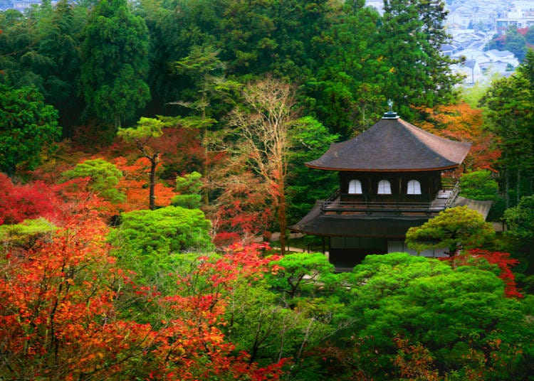 24. Ginkaku-ji (Kuil Paviliun Perak) (Kyoto)