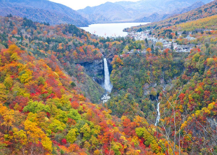 6. Irohazaka (Tochigi)
