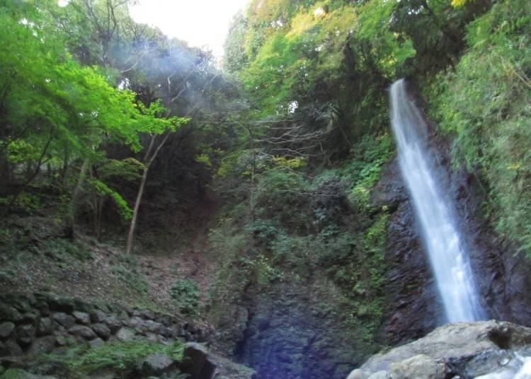 16. Air Terjun Yoro (Gifu)