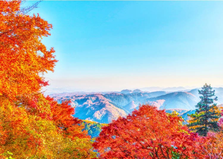 11. ภูเขาทาคาโอะ (โตเกียว)