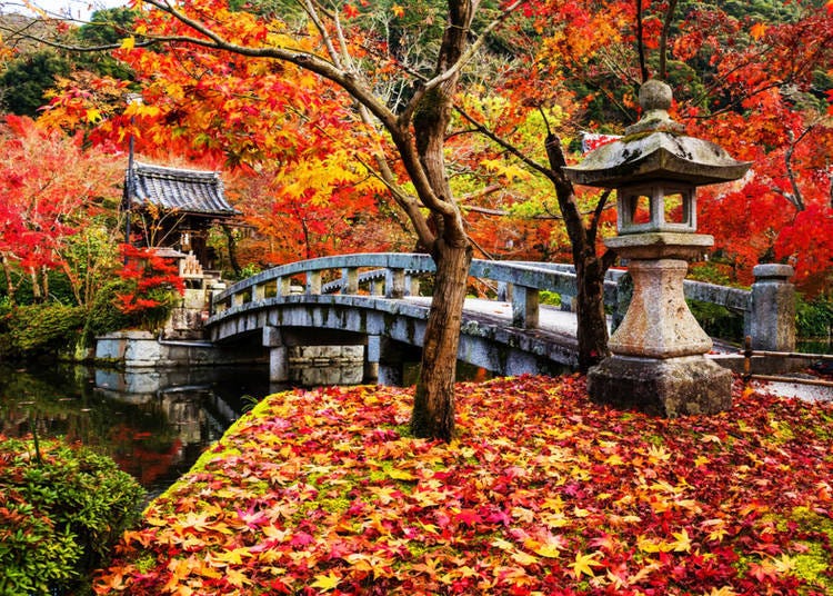 1. 永觀堂/禪林寺（京都）