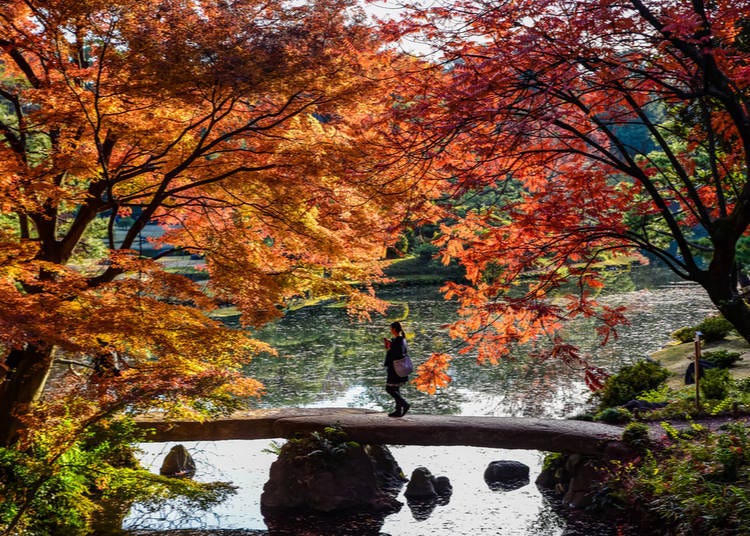 圖片來源：Takashi Images / Shutterstock.com