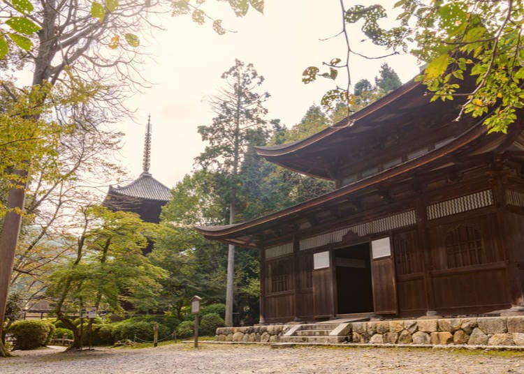 11. 三井寺/圓城寺（滋賀縣）