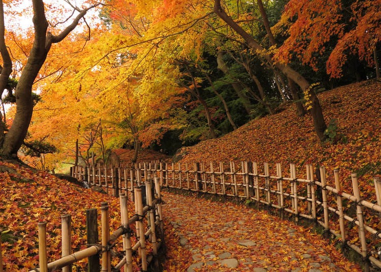 20.栗林公園（香川縣）