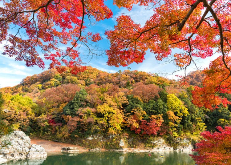 24.長瀞（埼玉縣）