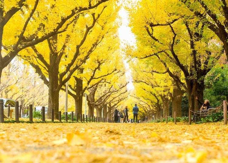 (照片來源:Supermop / Shutterstock.com)