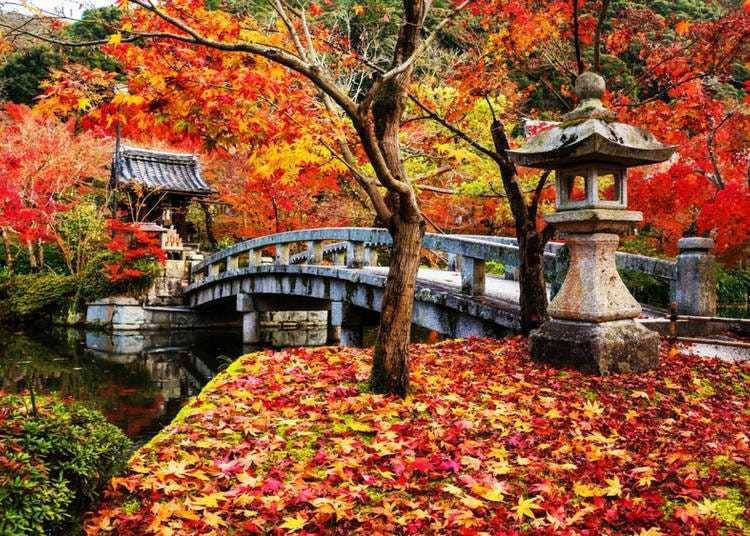 17. 永觀堂/禪林寺(京都)