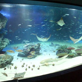 サンシャイン水族館