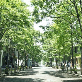 Marunouchi Naka-Dori Street